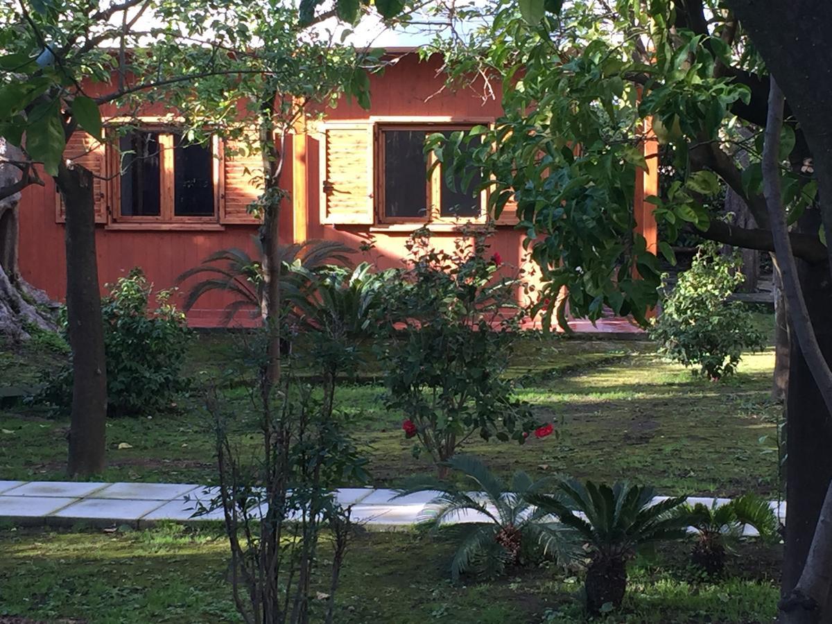 Chalet Paradiso Sorrento Ngoại thất bức ảnh