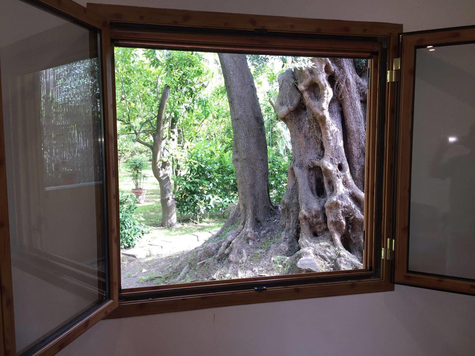 Chalet Paradiso Sorrento Ngoại thất bức ảnh